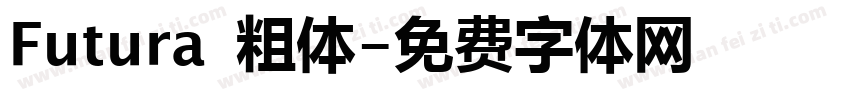 Futura 粗体字体转换